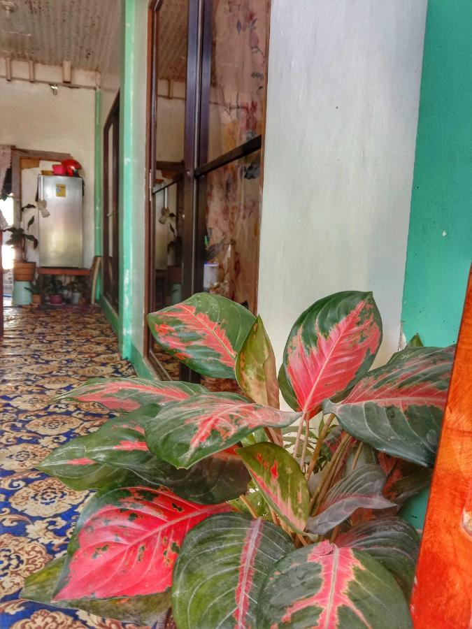 ג'נרל לונה Abba Homestay מראה חיצוני תמונה